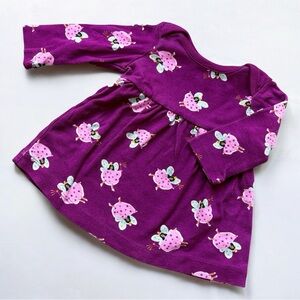 ❄️ Hanna Andersson Purple Dress with Pink Fairy Pattern